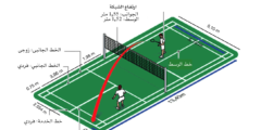 ملعب الريشة الطائرة: الخطوط والشبكة